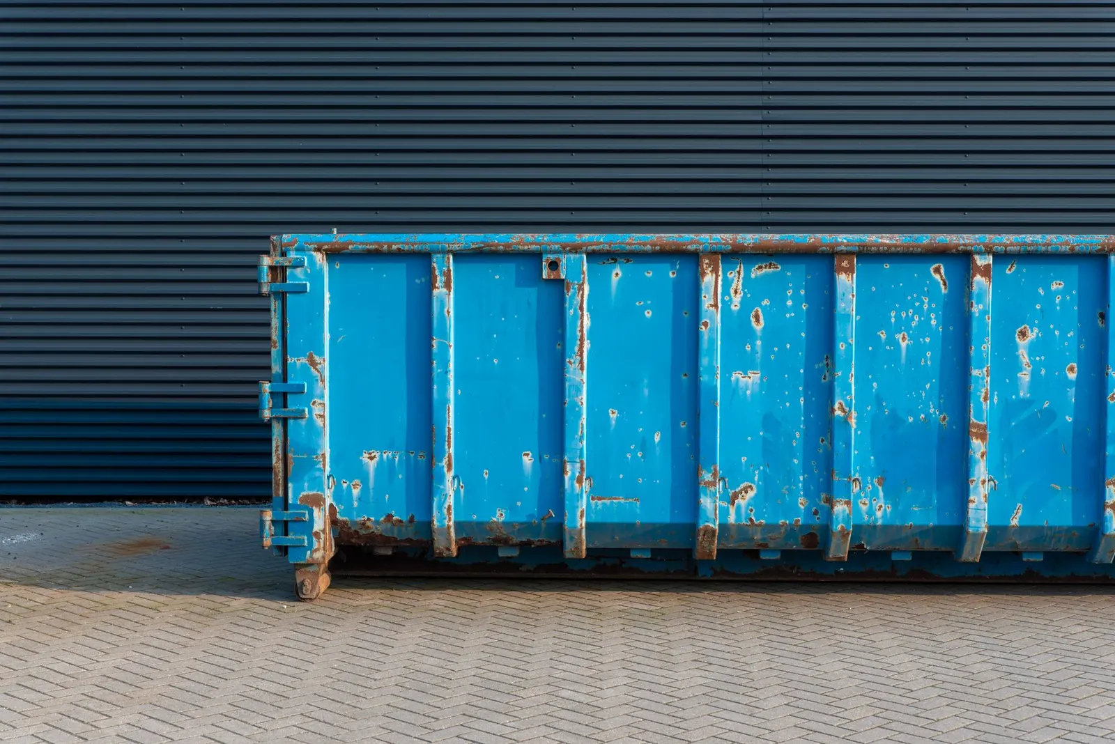 Dumpster & Container Rental in Brandon, FL